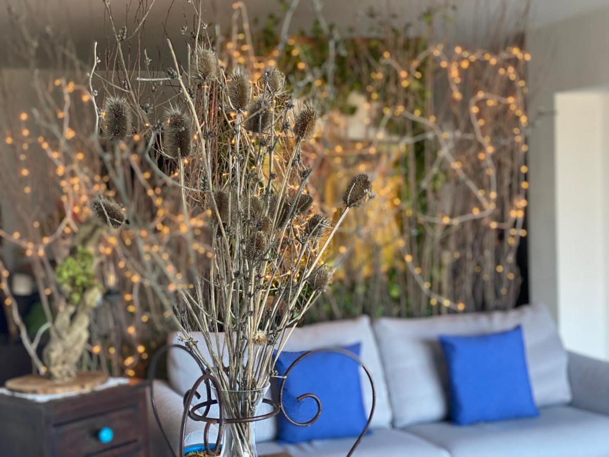 B&B Il Giardino Di Armida Ольястро-Чиленто Экстерьер фото