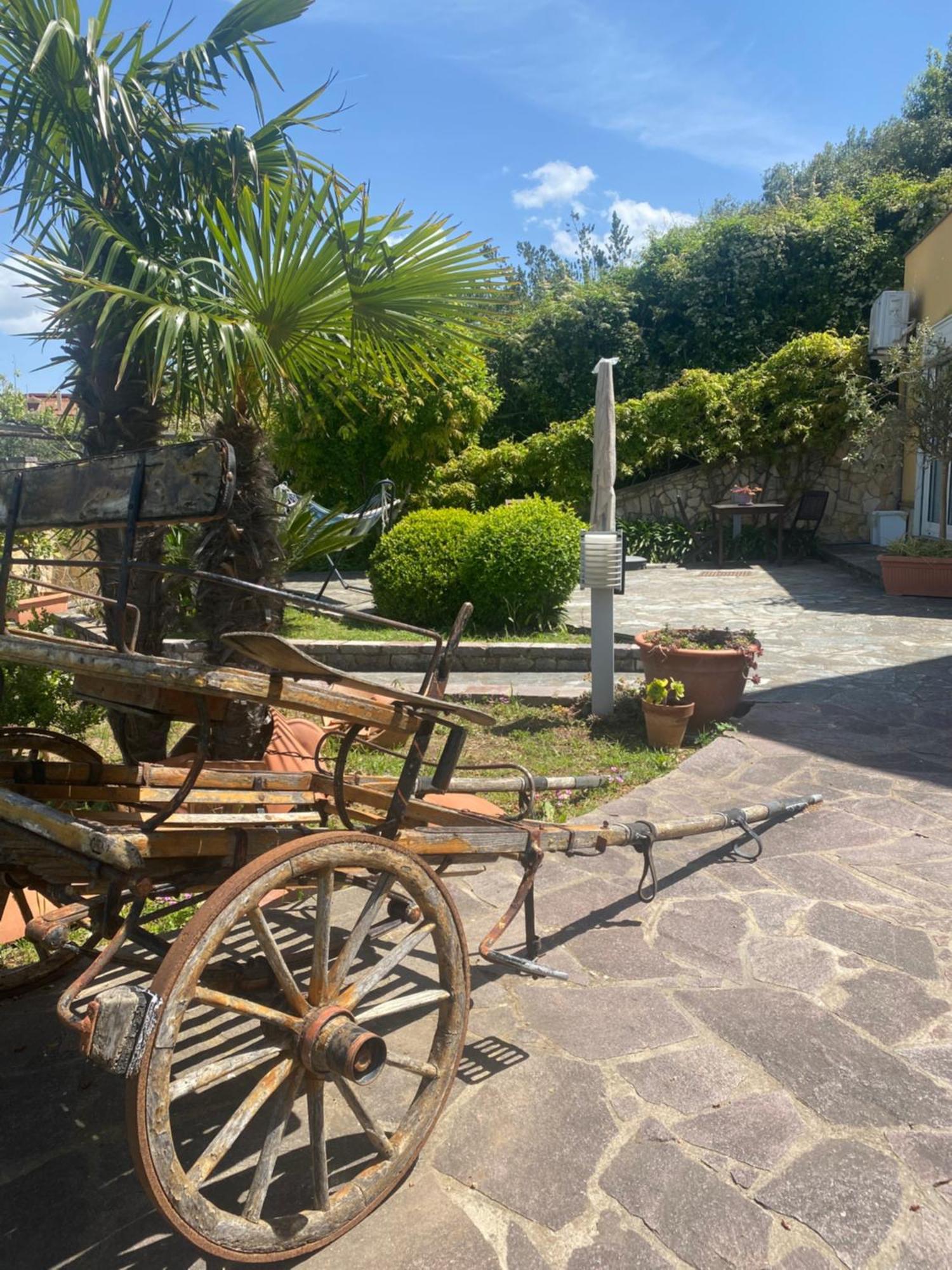 B&B Il Giardino Di Armida Ольястро-Чиленто Экстерьер фото